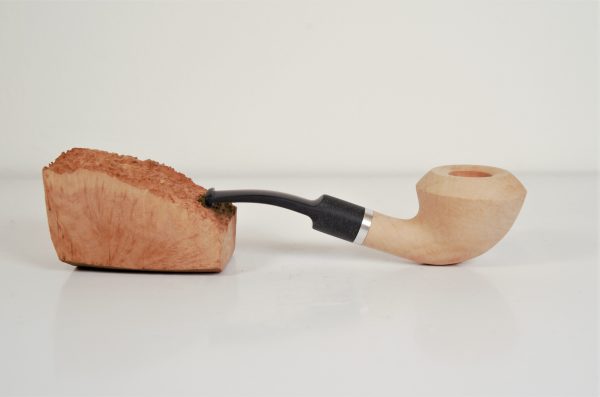 Bent Squashed Tomato to be finished "Sandra"  (MDP 1) - immagine 2