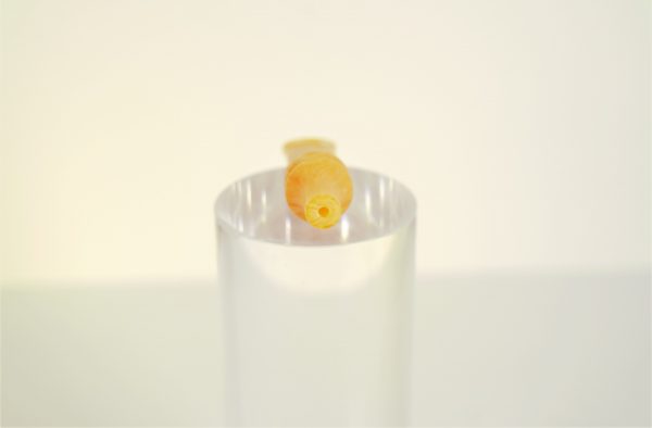 Stem 18 - immagine 2