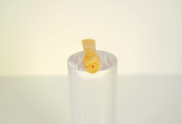 Stem 19 - immagine 2