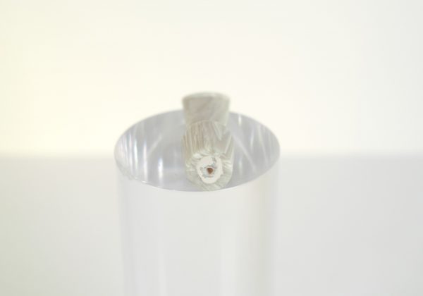 Stem 23 - immagine 2