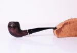 Half Bent Rhodesian Half Rustic Jan22 53