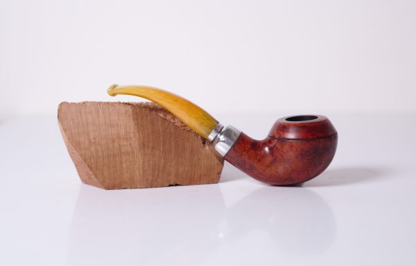 Bent Rhodesian Jan22 09 - immagine 2