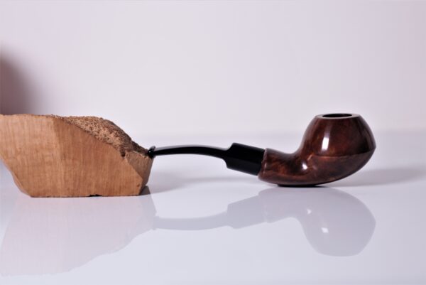 Bent Rhodesian Freehand Apr23 12 - immagine 2