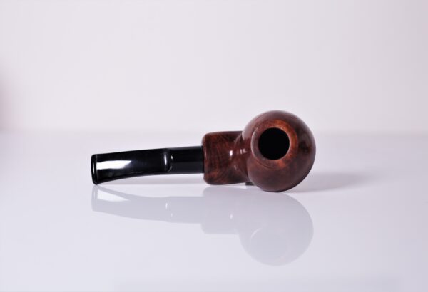 Bent Rhodesian Freehand Apr23 12 - immagine 3