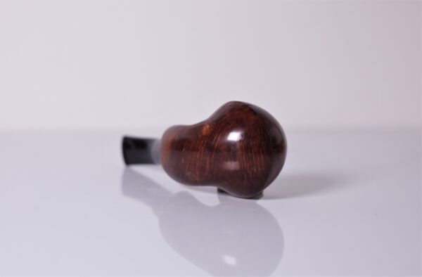 Bent Rhodesian Freehand Apr23 12 - immagine 5